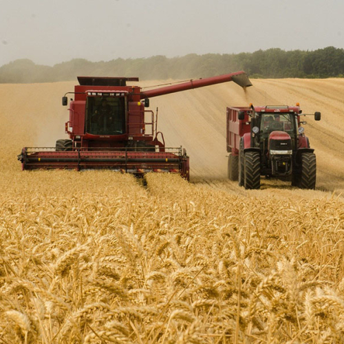 Fabricação e reforma de implementos agrícolas